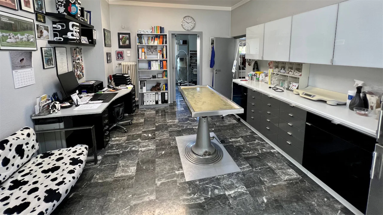 Ansicht Praxis Innenraum